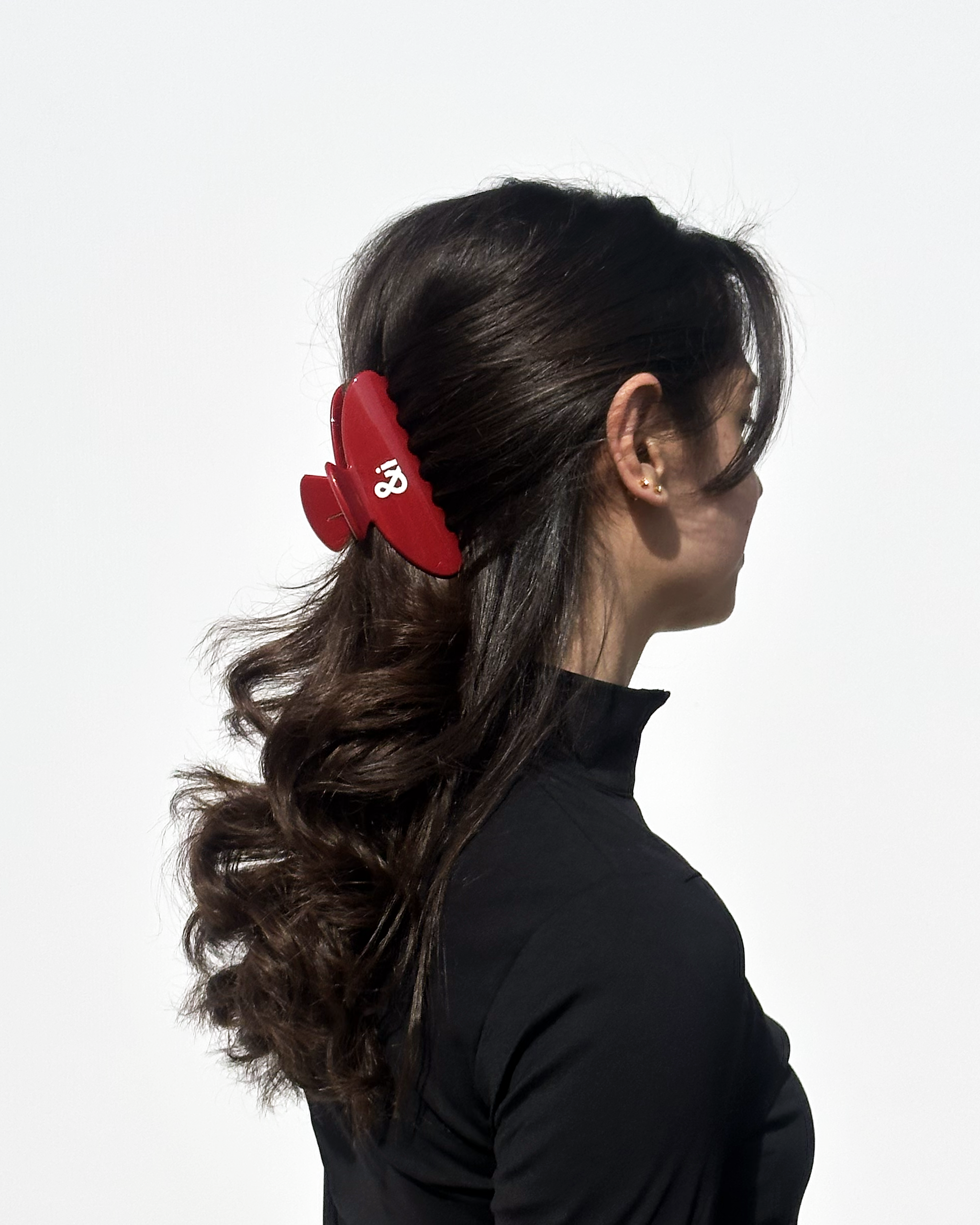 Hair Clip